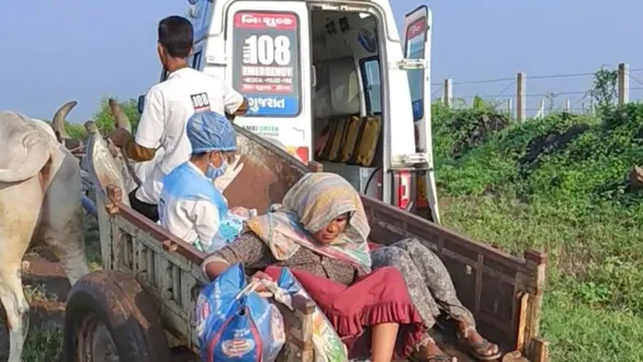 rajkot-news-gujarat-108-emergency-service-team-uses-bullock-cart-to-save-mother-and-baby