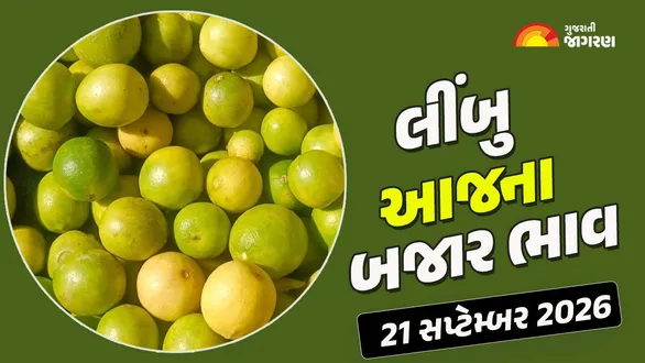 lemon-prices-in-gujarat-21-september-2026-today-nimbu-mandi-bhav-regional-apmc-rates-market-trends-live-updates