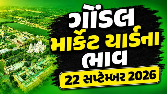 gondal-market-yard-bhav-today-22-september-2026-latest-apmc-mandi-rates