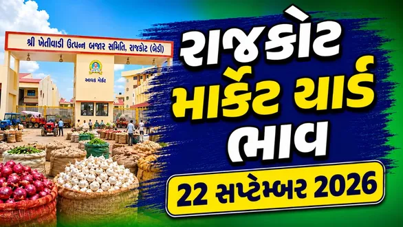 rajkot-market-yard-bhav-today-22-september-2026-latest-apmc-mandi-rates