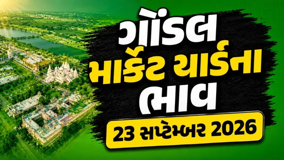 gondal-market-yard-bhav-today-23-september-2026-latest-apmc-mandi-rates