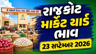 Rajkot Market Yard Bhav Today: રાજકોટ બેડી યાર્ડમાં જણસીઓની બમ્પર આવક: જાણો આજે બાજરી, વરિયાળી, ડુંગળી અને લસણના શું બોલાયા ભાવ