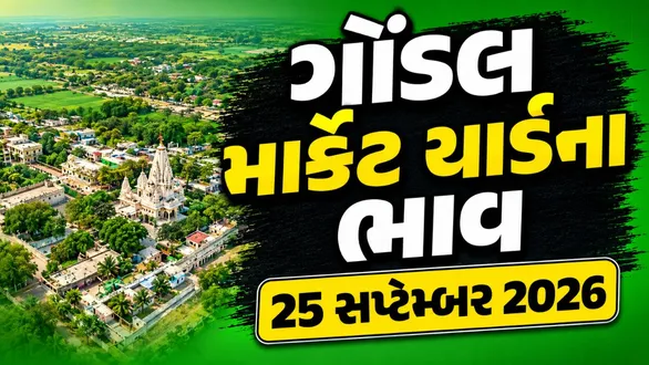 gondal-market-yard-bhav-today-25-september-2026-latest-apmc-mandi-rates