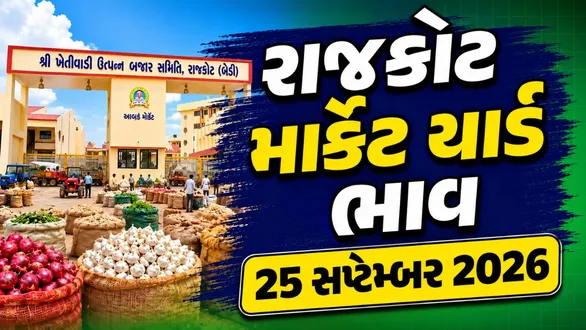 rajkot-market-yard-bhav-today-25-september-2026-latest-apmc-mandi-rates
