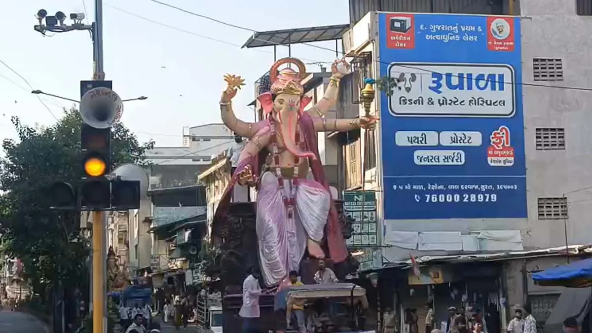 naidunia_image