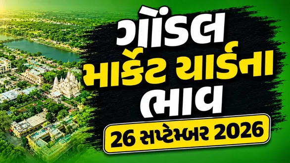 gondal-market-yard-bhav-today-26-september-2026-latest-apmc-mandi-rates