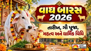 Vagh Baras 2026 Date: વાઘ બારસ ક્યારે છે? જાણો તારીખ, પૂજાનું શુભ મુહૂર્ત, પૂજા વિધિ અને ધાર્મિક મહત્વ