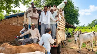 સાગબારામાં જંગલ જમીન વિવાદ ઉગ્ર: વન વિભાગે ખેડૂતોના બળદો જપ્ત કરતા આક્રોશ, મનસુખ વસાવા ખેડૂતોના સમર્થનમાં
