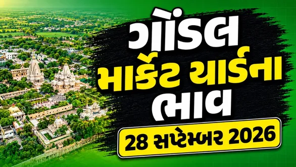 gondal-market-yard-bhav-today-28-september-2026-latest-apmc-mandi-rates