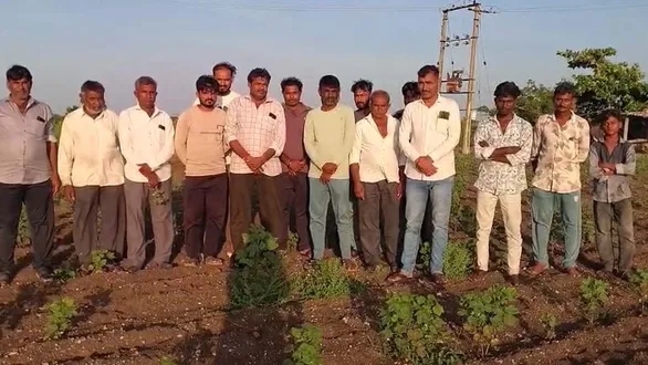 jamnagar-news-rainfall-deficit-hits-jodiya-farmers-demand-drought-declaration