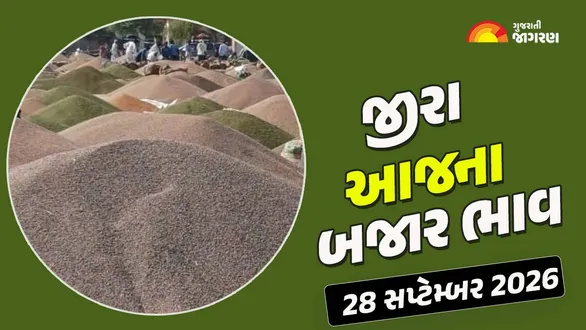 jeera-price-today-in-gujarat-28-september-2026-latest-cumin-seeds-mandi-market-rates