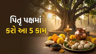 Pitru Paksha 2026: પિતૃ પક્ષમાં આ 5 કામ કરવાથી પિતૃઓના મળે છે આશીર્વાદ: જાણો ધાર્મિક માન્યતા