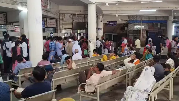 vadodara-news-dengue-cases-rise-50-patients-reported-in-15-days