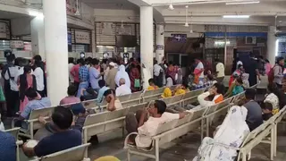 વડોદરામાં ડેન્ગ્યુનો પગપેસારો: 15 દિવસમાં 50 કેસ નોંધાયા, ઓપીડીમાં દર્દીઓનો ભારે ધસારો