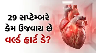 World Heart Day 2026: 29 સપ્ટેમ્બરના રોજ કેમ ઉજવાય છે વર્લ્ડ હાર્ટ ડે? જાણો આ વર્ષની થીમ