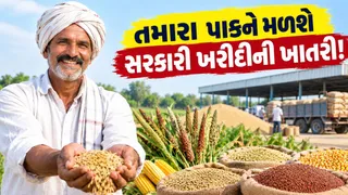 ખેડૂતો માટે ખુશખબર! હવે સરકાર ખરીદશે તમારો પાક, ફટાફટ જાણી લો ટેકાના નવા ભાવ અને રજીસ્ટ્રેશનની તારીખ