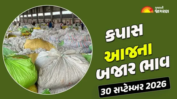 cotton-price-today-in-gujarat-30-september-2026-latest-kapas-mandi-market-rates