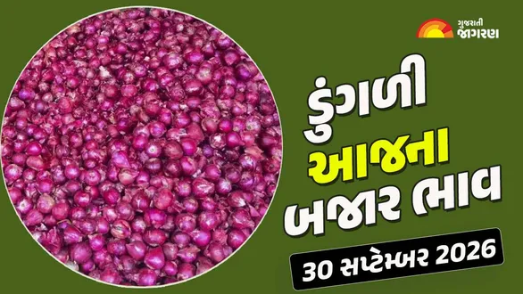 onion-price-today-in-gujarat-apmc-30-september-2026-aaj-na-dungli-na-bajar-bhav