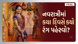 Navratri 2026: શારદીય નવરાત્રી ક્યારે શરૂ થશે? જાણો 9 દિવસની તારીખ અને કયા દિવસે કયો રંગ પહેરવો