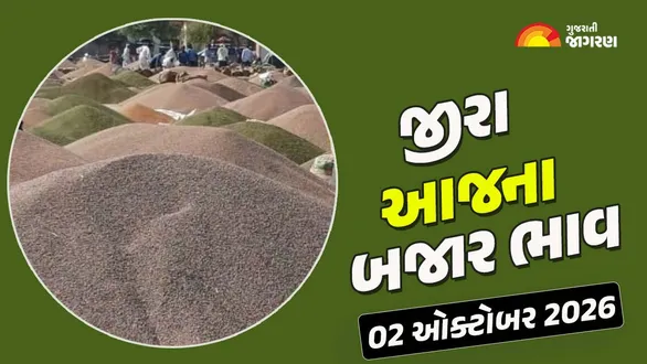 jeera-price-today-in-gujarat-02-october-2026-latest-cumin-seeds-mandi-market-rates