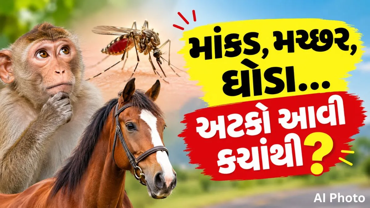 ગુજરાતી અટકોનો રોચક ઇતિહાસ: મચ્છરથી માંકડ સુધીની વાત