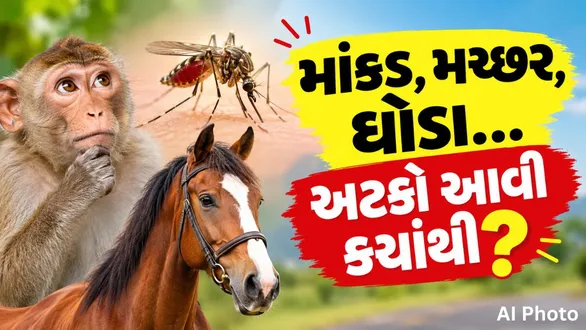 history-behind-unique-gujarati-surnames-mankad-machhar-ghoda-origin