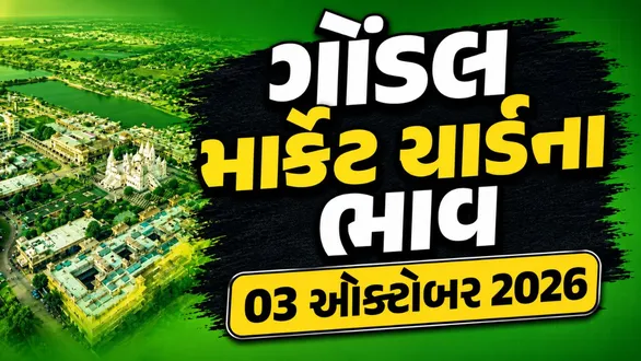 gondal-market-yard-bhav-today-03-october-2026-latest-apmc-mandi-rates