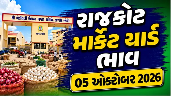 rajkot-market-yard-bhav-today-05-october-2026-latest-apmc-mandi-rates