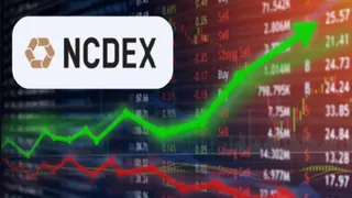 NCDEX IPFT દ્વારા અમદાવાદ ખાતે World Investor Week 2026ના ભાગરૂપે બે દિવસ માટે રોકાણકાર જાગૃતિ વર્કશોપ યોજવામાં આવ્યો
