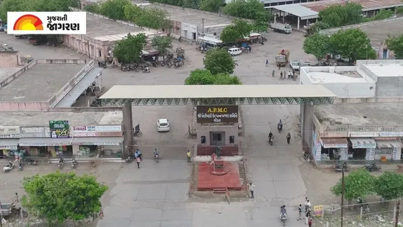 gondal-market-yard-bhav-today-07-october-2026-latest-apmc-mandi-rates