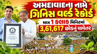 અમદાવાદનો વિશ્વવિક્રમ! 1 કલાકમાં 3.61 લાખ વૃક્ષો વાવી બન્યો ગિનીસ વર્લ્ડ રેકોર્ડ, CM ભૂપેન્દ્ર પટેલે કર્યું વૃક્ષારોપણ
