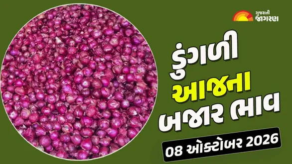 onion-price-today-in-gujarat-apmc-08-october-2026-aaj-na-dungli-na-bajar-bhav