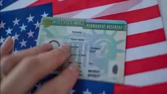significant-drop-in-green-card-applications-by-indian-it-companies-in-the-us-reliance-on-h1b-visas-decreased