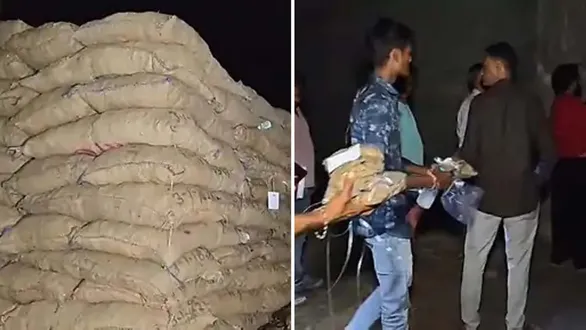 mehsana-news-samples-of-suspected-adulterated-cattle-feed-collected-from-5-warehouses