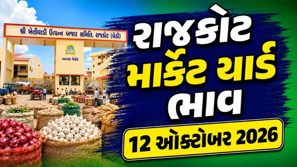 rajkot-market-yard-bhav-today-12-october-2026-latest-apmc-mandi-rates
