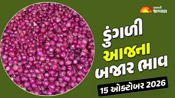 gujarat-apmc-onion-price-today-check-latest-onion-mandi-rates-in-rajkot-padra-surat-jetpur