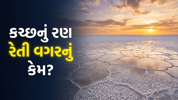 why-is-the-rann-of-kutch-white-without-sand-know-the-secret-behind-its-unique-landscape