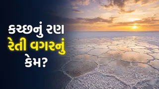 Great Rann of Kutch: કચ્છનું રણ રેતી વગરનું હોવા છતાં સફેદ કેમ દેખાય છે? જાણો આ કુદરતી રચના પાછળનું વિજ્ઞાન