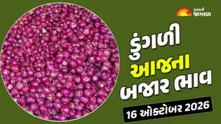 Onion Price Today Gujarat: ગુજરાતમાં ડૂંગળીના ભાવ 101થી 1200 રૂપિયા સુધી બોલાયા, જાણો 21 યાર્ડના ભાવ