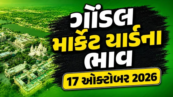 gondal-market-yard-bhav-today-17-october-2026-latest-apmc-mandi-rates