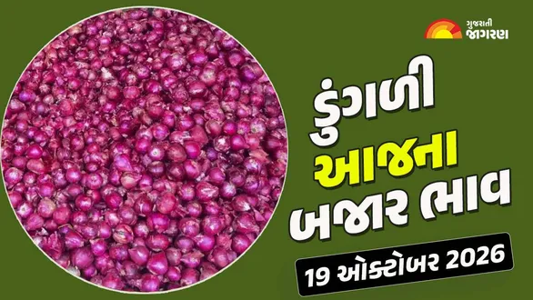 onion-price-today-gujarat-navsari-apmc-records-a-high-of-1100-check-prices-across-19-market-yards