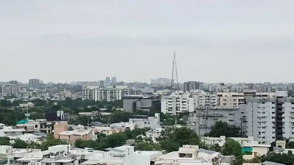 naidunia_image