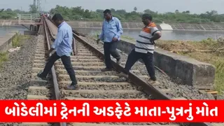 બોડેલીમાં ટ્રેનની અડફેટે માતા-પુત્રનું મોત, દેહ છિન્નભિન્ન થયા; પુત્રનું શીશ કપાઈ નહેરમાં પડ્યું