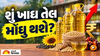 Edible Oil Price Hike: ભારતમાં ખાદ્ય તેલ ફરી થશે મોંઘું? મુખ્ય સપ્લાયર દેશમાં ઉત્પાદન ઘટતા અને B50 નીતિથી પુરવઠાનું સંકટ