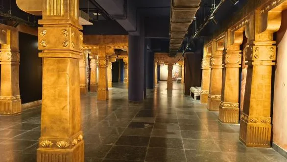 naidunia_image