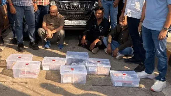 ahmedabadsurat-crime-branch-operation-3-arrested-in-25-crore-drug-bus