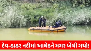 ડભોઈની દેવ-ઢાઢર નદીમાં મગર આધેડને ખેંચી ગયાની આશંકા, બીજા દિવસે પણ ફાયર બ્રિગેડનું સર્ચ ઓપરેશન
