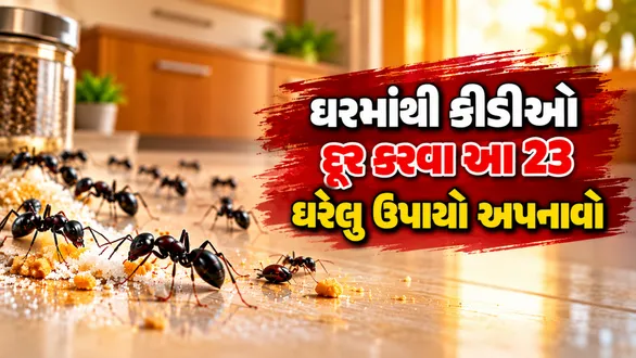 how-to-get-rid-of-black-ants-overnight-23-fast-and-effective-ways