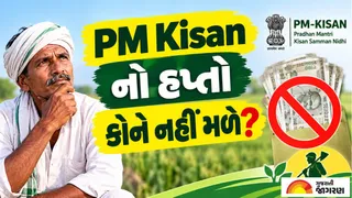 PM Kisan 24th Installment: આ તારીખે આવશે પીએમ કિસાનનો 24મો હપ્તો; આ ભૂલ કરનારા ખેડૂતોના ખાતામાં નહીં જમા થાય 2,000