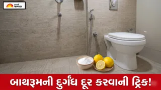 Bathroom Cleaning Tips: બાથરૂમમાં આવતી ગંદી વાસ દૂર કરવા રસોડાની આ વસ્તુ છે ઉપયોગી, જાણો કેવી રીતે કરશો ઉપયોગ